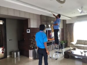 Dedetização em Guarulhos