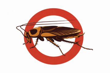 Dedetização em Guarulhos