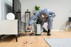 Descupinização em Guarulhos