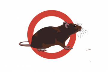 Desratização Guarulhos