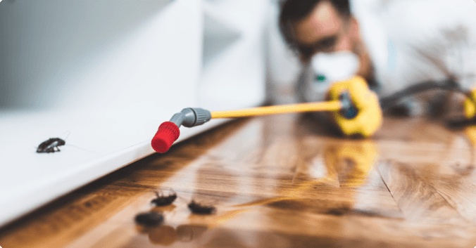 guarulhos dedetizadora