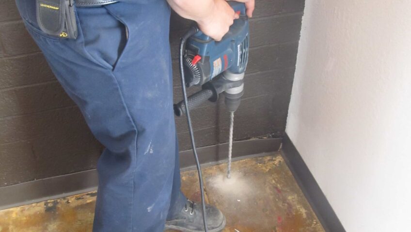 descupinizaçã ocupim