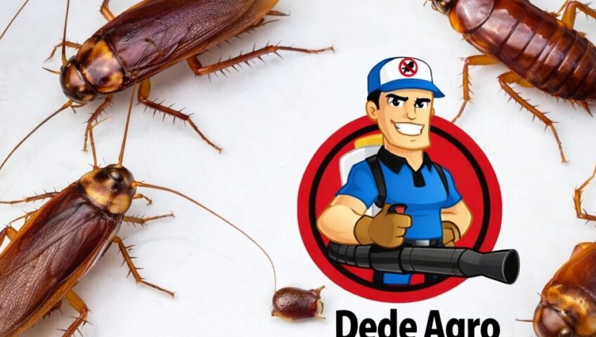  Dedetização na Vila Carioca