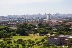 Santana dedetização